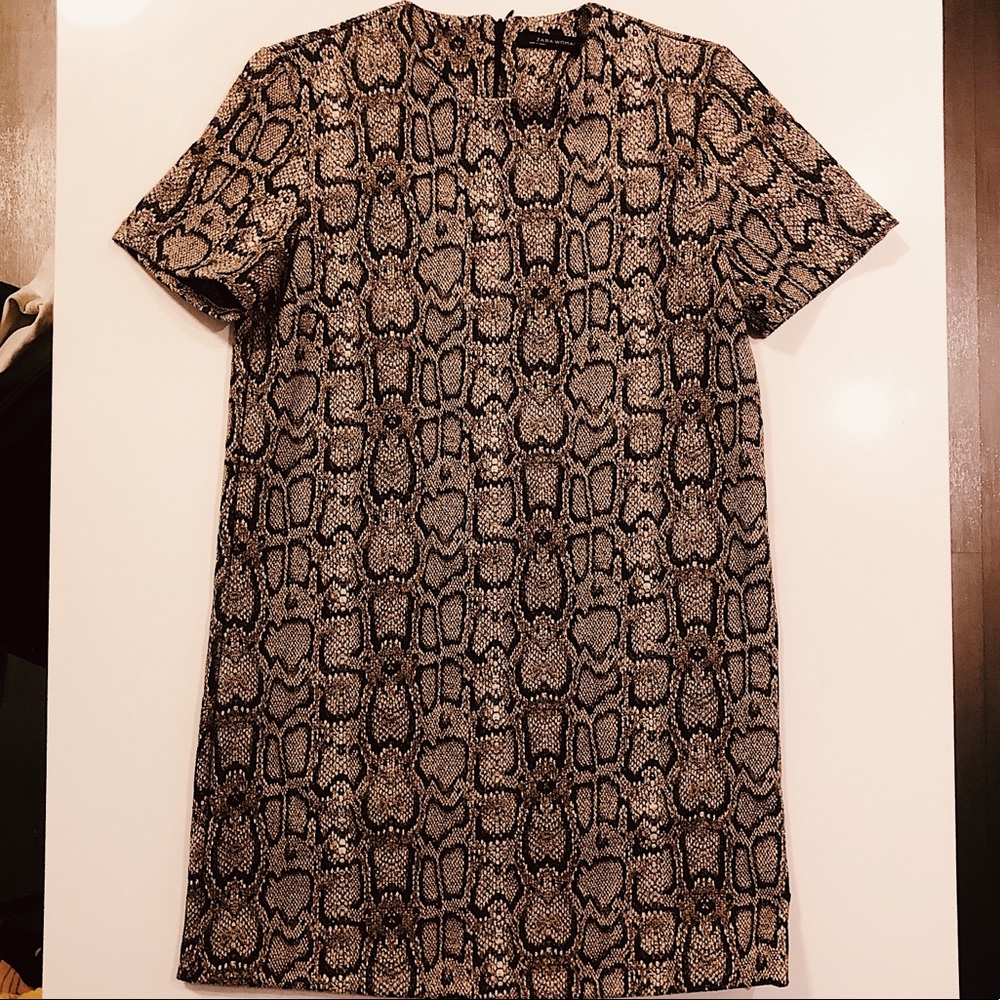 Zara snake print dress